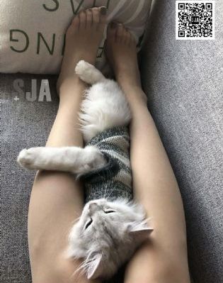 欧美剧情童话村_高清免费观看视频